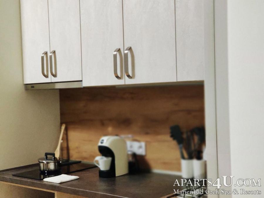 Apartment Grun Wald Mariánské Lázně Εξωτερικό φωτογραφία