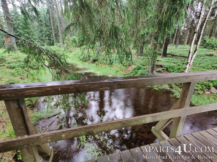 Apartment Grun Wald Mariánské Lázně Εξωτερικό φωτογραφία