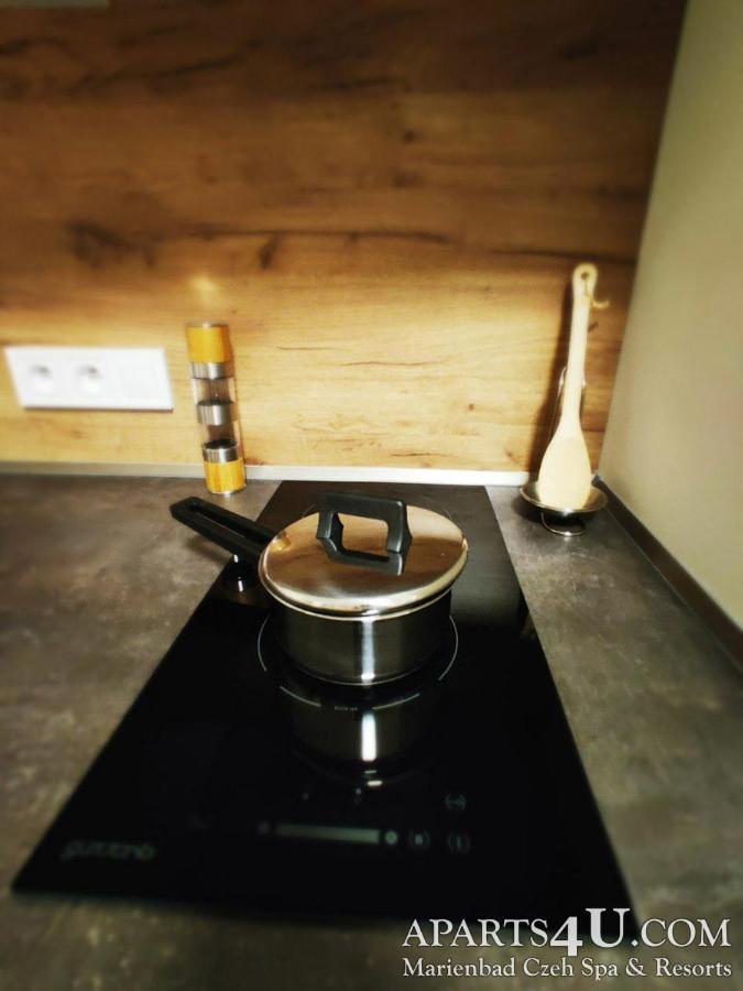Apartment Grun Wald Mariánské Lázně Εξωτερικό φωτογραφία