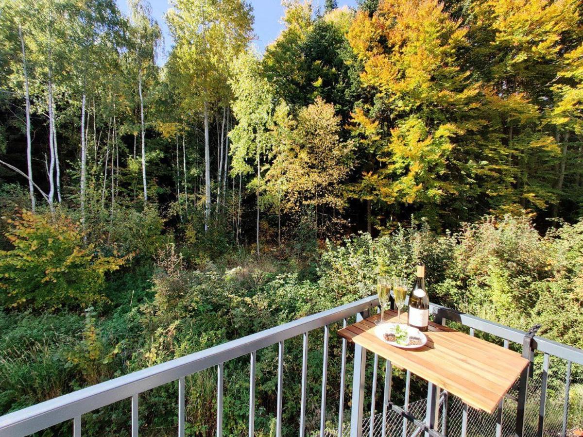 Apartment Grun Wald Mariánské Lázně Εξωτερικό φωτογραφία
