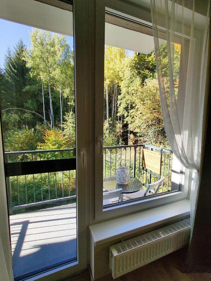 Apartment Grun Wald Mariánské Lázně Εξωτερικό φωτογραφία