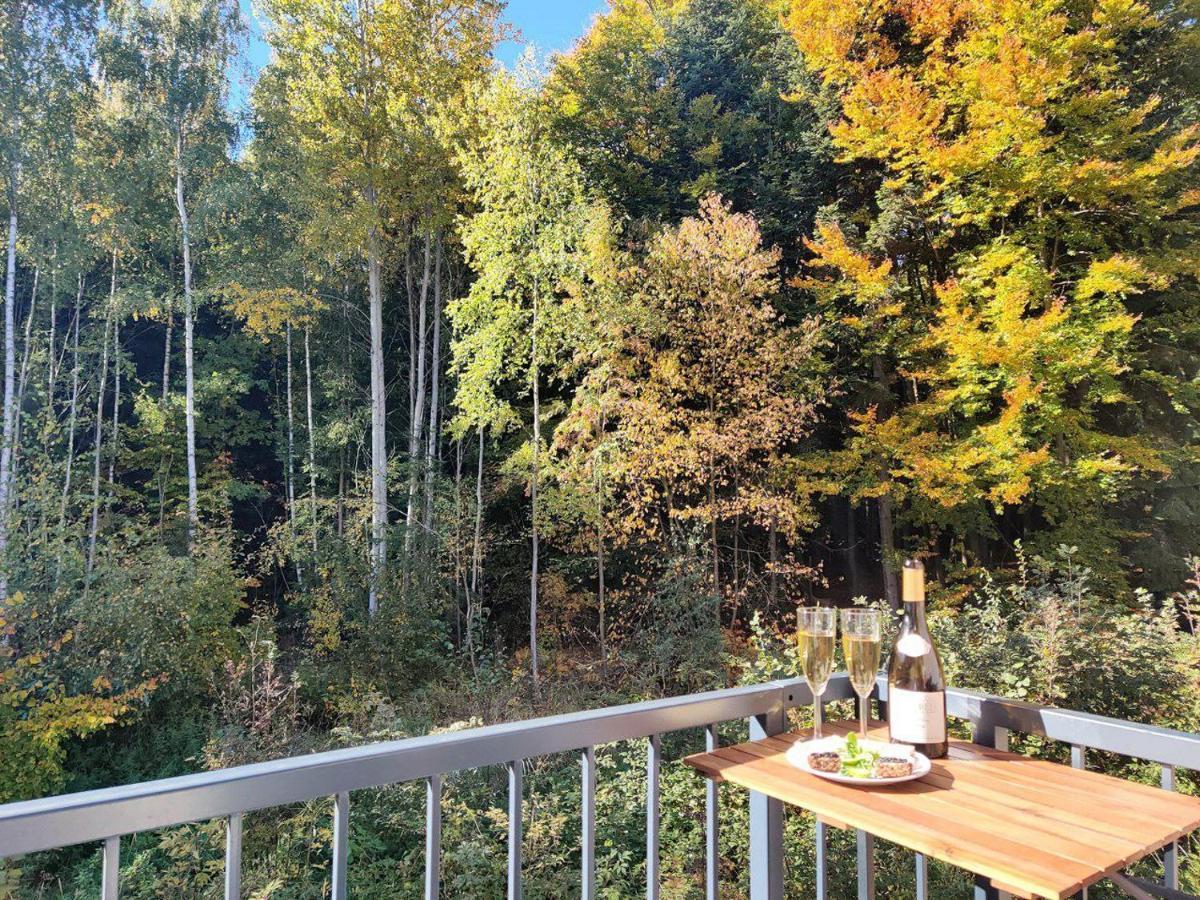 Apartment Grun Wald Mariánské Lázně Εξωτερικό φωτογραφία